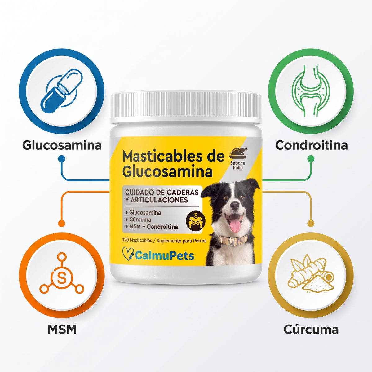 “¿Tu perro ya no se mueve como antes?
