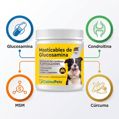 “¿Tu perro ya no se mueve como antes?