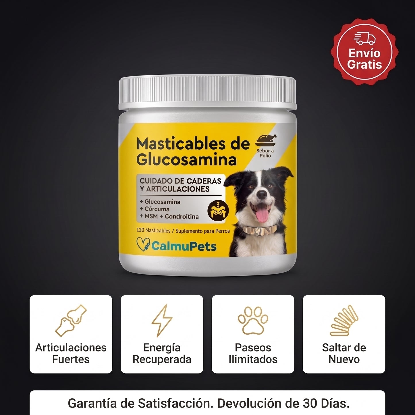 “¿Tu perro ya no se mueve como antes?