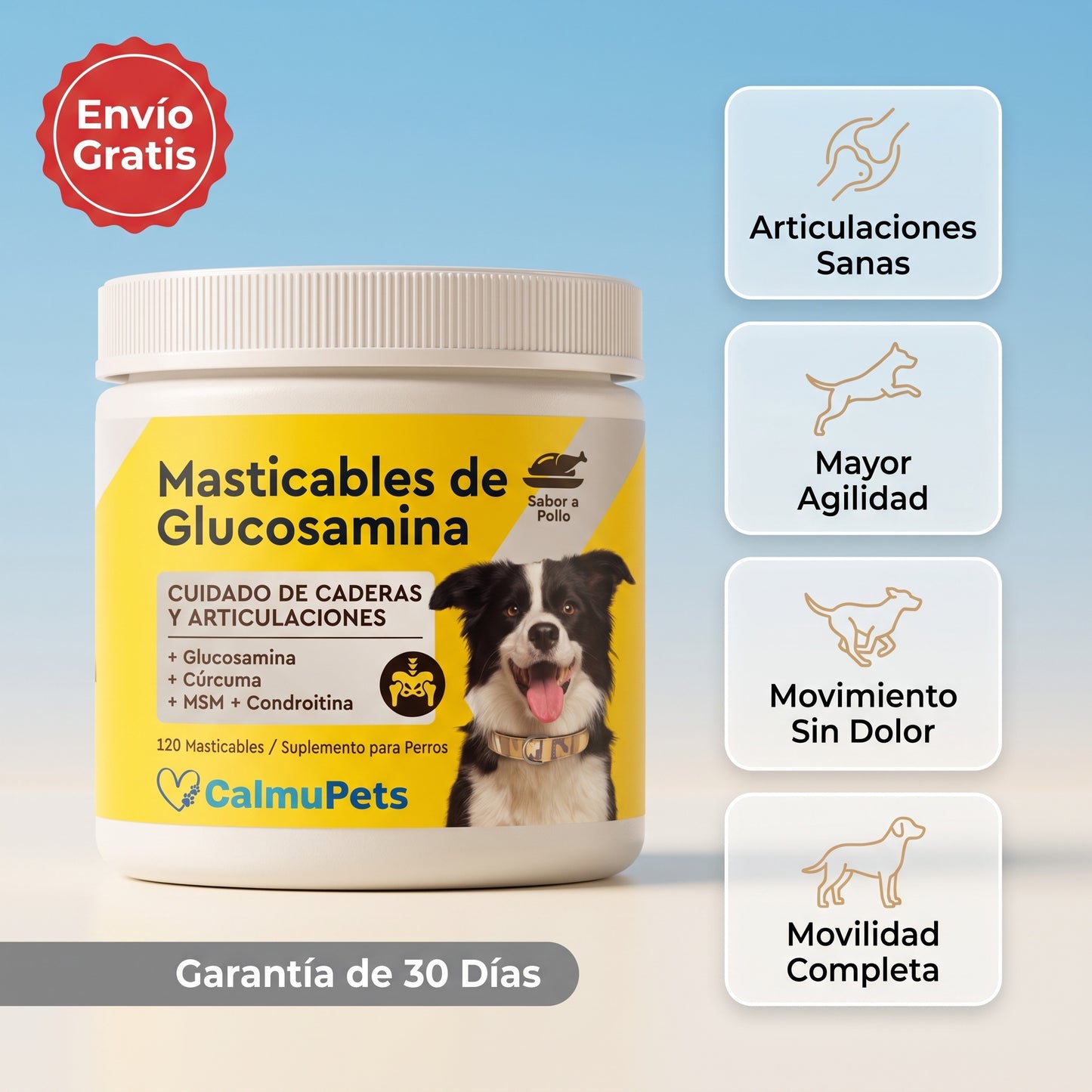 “¿Tu perro ya no se mueve como antes?