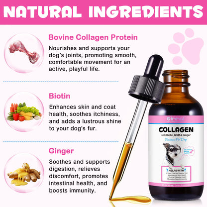 Suplemento Oimmal para la Salud de la Piel y el Pelaje de Mascotas, Colágeno Líquido con Sabor a Tocino para Perros, Ayuda al Soporte Digestivo y Articular con Biotina