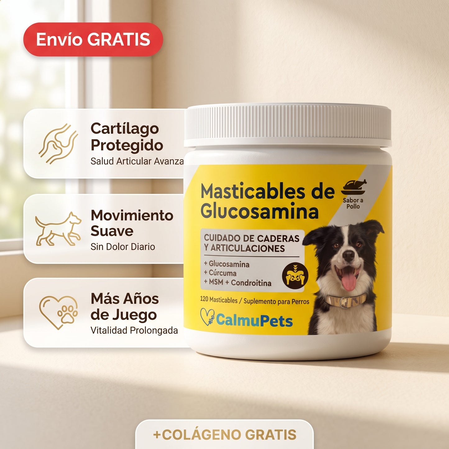 “¿Tu perro ya no se mueve como antes?