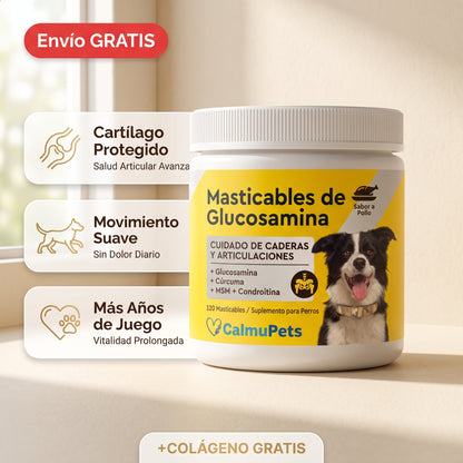 “¿Tu perro ya no se mueve como antes?