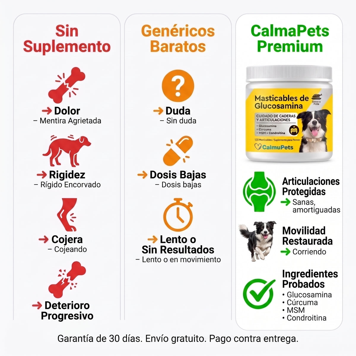 “¿Tu perro ya no se mueve como antes?