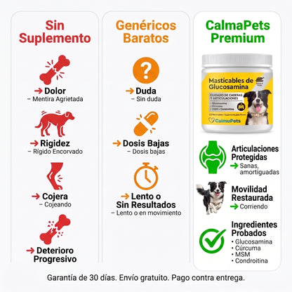 “¿Tu perro ya no se mueve como antes?