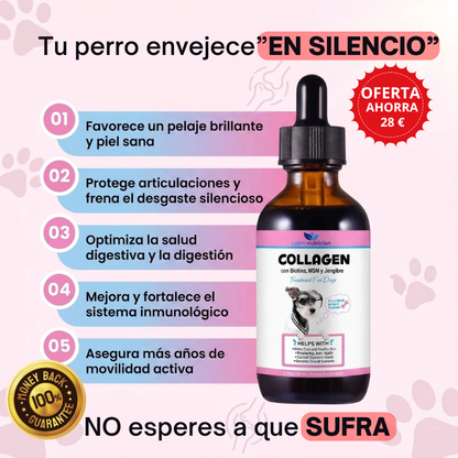 Protección diaria para una vida larga y saludable