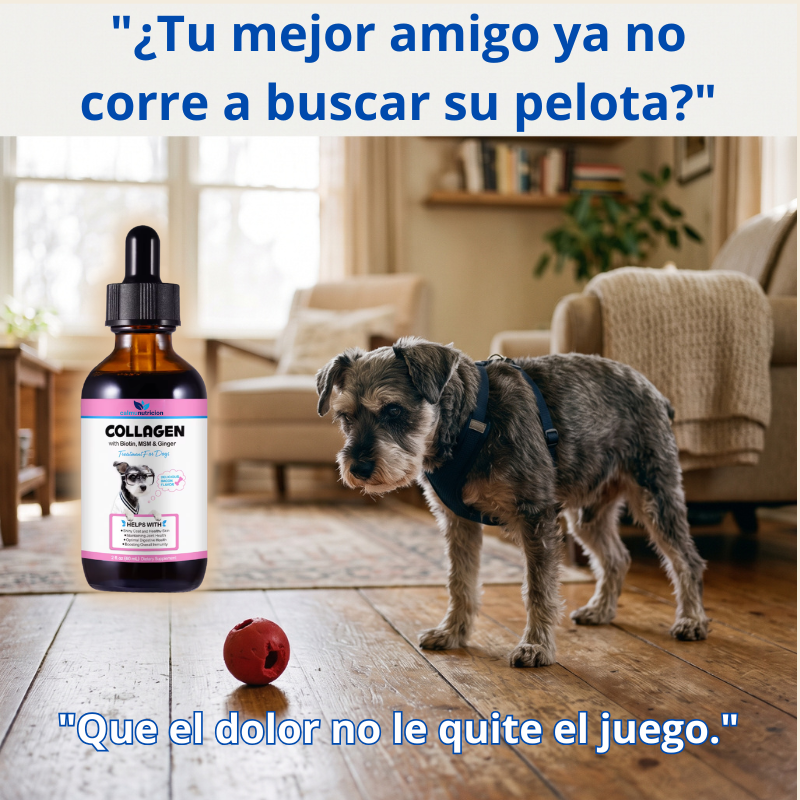 Protección diaria para una vida larga y saludable