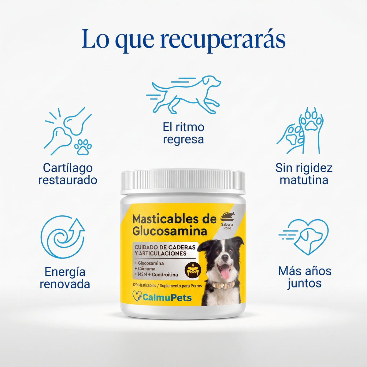 “¿Tu perro ya no se mueve como antes?