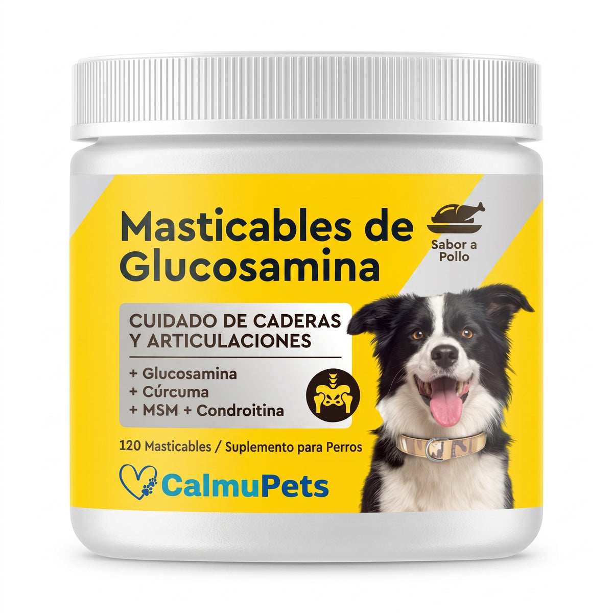“¿Tu perro ya no se mueve como antes?