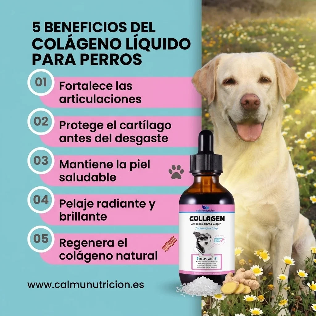 Protección diaria para una vida larga y saludable