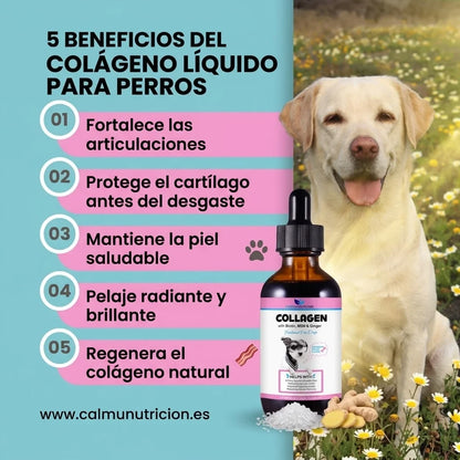 Protección diaria para una vida larga y saludable