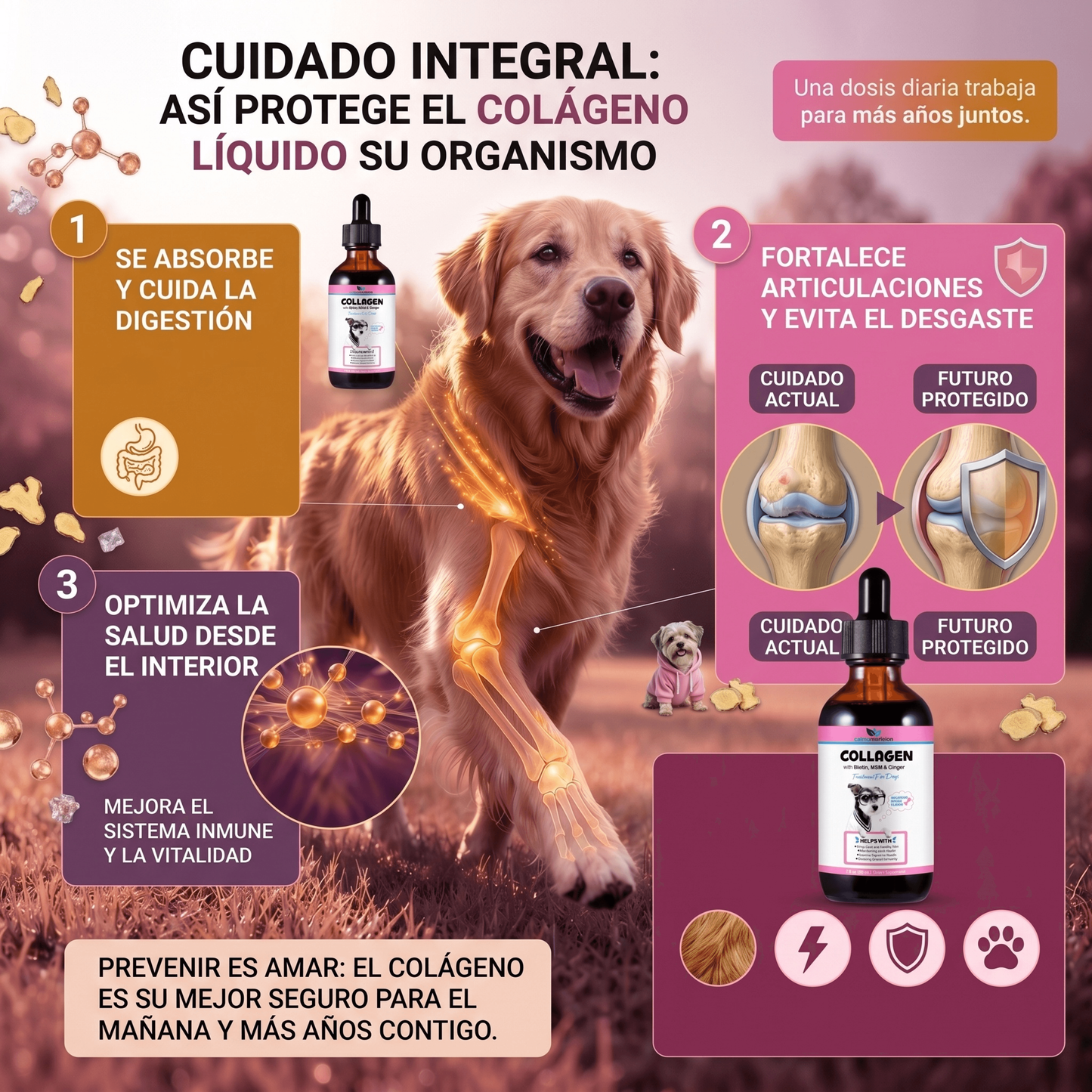 Protección diaria para una vida larga y saludable