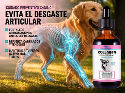 Protección diaria para una vida larga y saludable